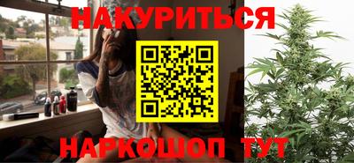 шишки Нарткала