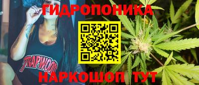 шишки Нарткала