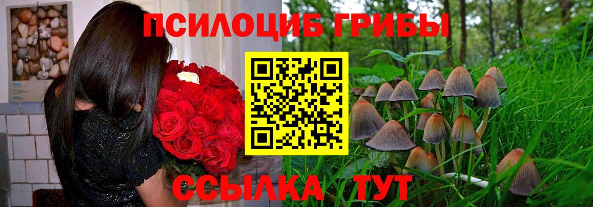 Галлюциногенные грибы мицелий  Псилоцибиновые грибы ЛСД  Спасск-Дальний  Вход с VPN 
