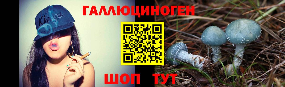 Псилоцибиновые грибы ЛСД Спасск-Дальний